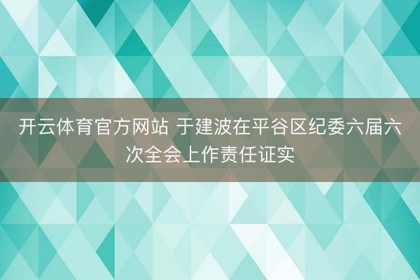 开云体育官方网站 于建波在平谷区纪委六届六次全会上作责任证实