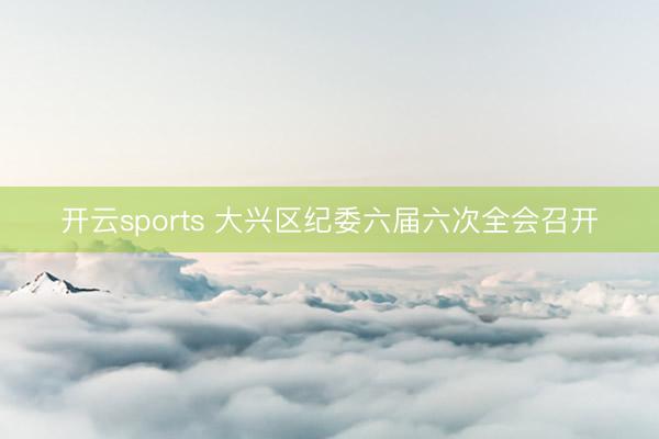 开云sports 大兴区纪委六届六次全会召开