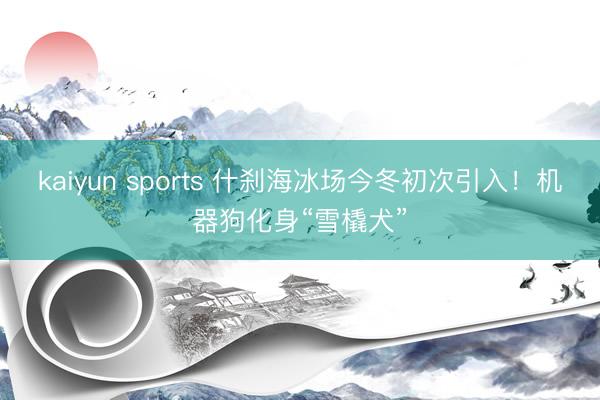 kaiyun sports 什刹海冰场今冬初次引入！机器狗化身“雪橇犬”