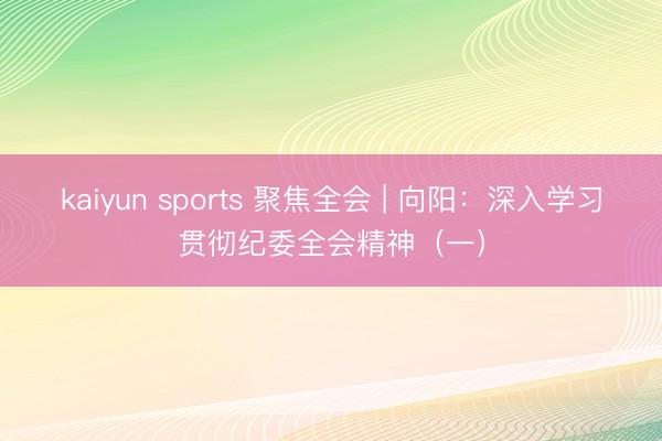 kaiyun sports 聚焦全会 | 向阳：深入学习贯彻纪委全会精神（一）