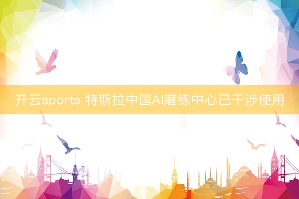 开云sports 特斯拉中国AI磨练中心已干涉使用