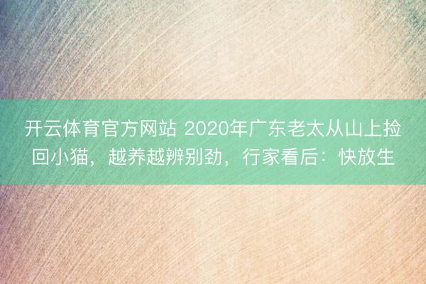 开云体育官方网站 2020年广东老太从山上捡回小猫,越养越辨别劲,行家看后:快放生