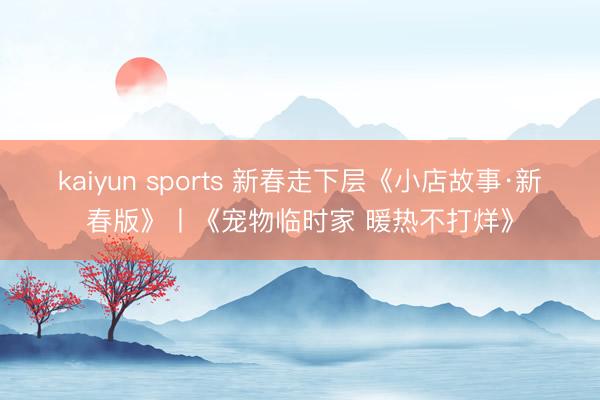 kaiyun sports 新春走下层《小店故事·新春版》丨《宠物临时家 暖热不打烊》