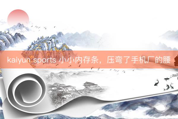 kaiyun sports 小小内存条,压弯了手机厂的腰