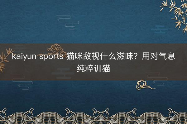 kaiyun sports 猫咪敌视什么滋味？用对气息纯粹训猫