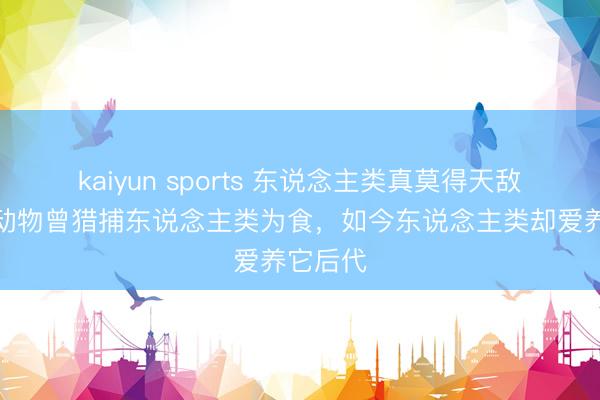kaiyun sports 东说念主类真莫得天敌？这种动物曾猎捕东说念主类为食，如今东说念主类却爱养它后代