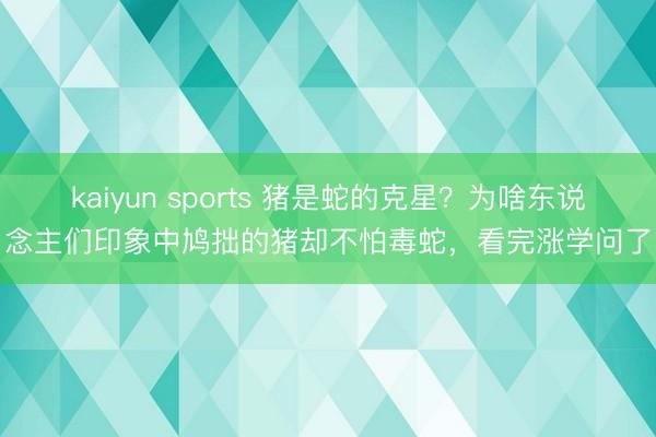 kaiyun sports 猪是蛇的克星？为啥东说念主们印象中鸠拙的猪却不怕毒蛇，看完涨学问了