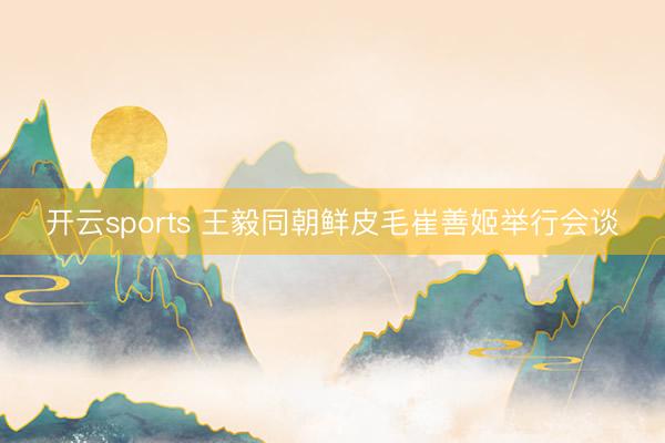 开云sports 王毅同朝鲜皮毛崔善姬举行会谈