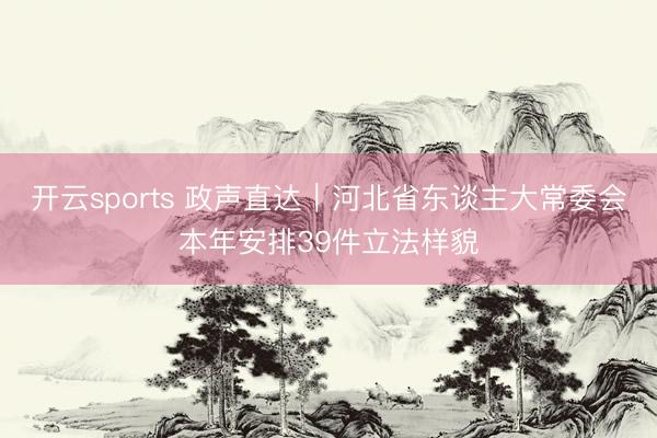 开云sports 政声直达｜河北省东谈主大常委会本年安排39件立法样貌