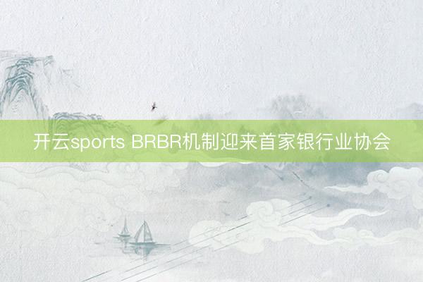 开云sports BRBR机制迎来首家银行业协会