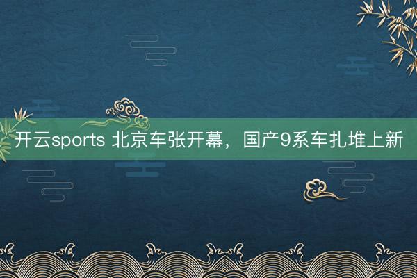 开云sports 北京车张开幕，国产9系车扎堆上新
