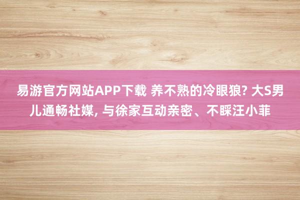 易游官方网站APP下载 养不熟的冷眼狼? 大S男儿通畅社媒， 与徐家互动亲密、不睬汪小菲