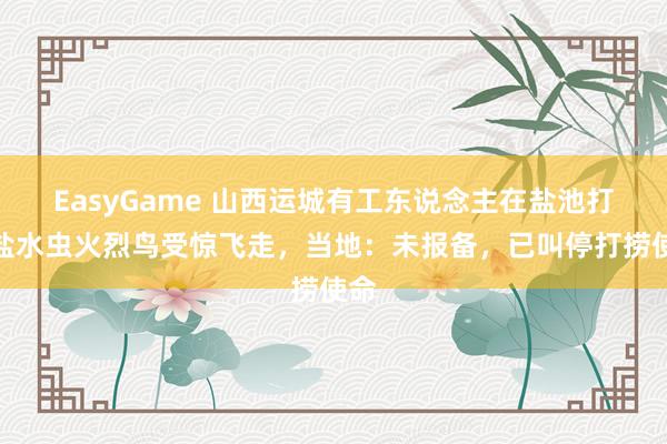 EasyGame 山西运城有工东说念主在盐池打捞盐水虫火烈鸟受惊飞走，当地：未报备，已叫停打捞使命