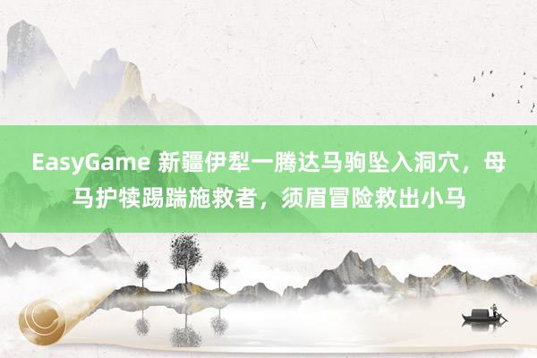 EasyGame 新疆伊犁一腾达马驹坠入洞穴，母马护犊踢踹施救者，须眉冒险救出小马
