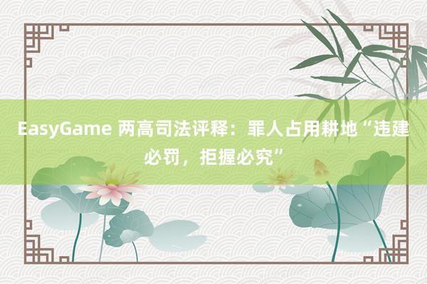 EasyGame 两高司法评释：罪人占用耕地“违建必罚，拒握必究”