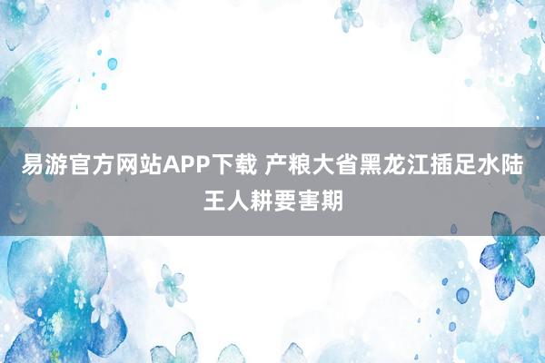 易游官方网站APP下载 产粮大省黑龙江插足水陆王人耕要害期