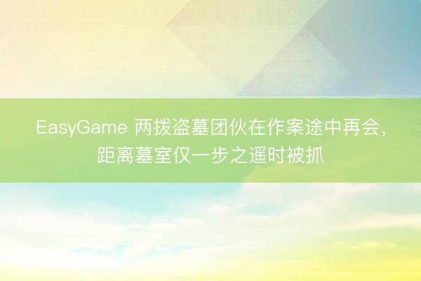 EasyGame 两拨盗墓团伙在作案途中再会，距离墓室仅一步之遥时被抓