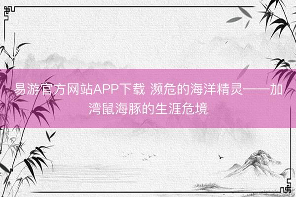 易游官方网站APP下载 濒危的海洋精灵——加湾鼠海豚的生涯危境
