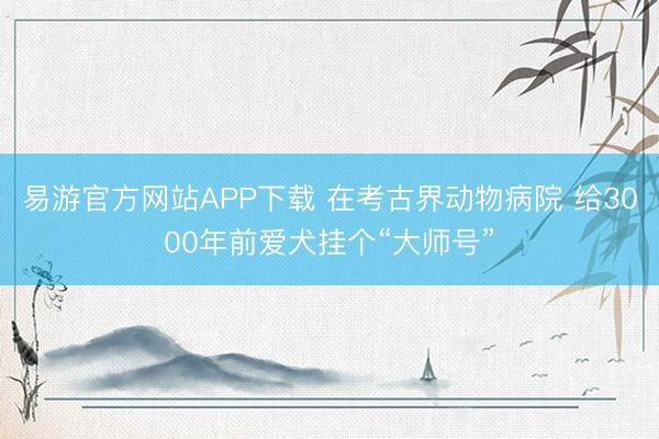 易游官方网站APP下载 在考古界动物病院 给3000年前爱犬挂个“大师号”