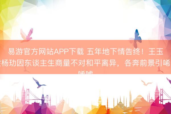 易游官方网站APP下载 五年地下情告终！王玉雯杨玏因东谈主生商量不对和平离异，各奔前景引唏嘘