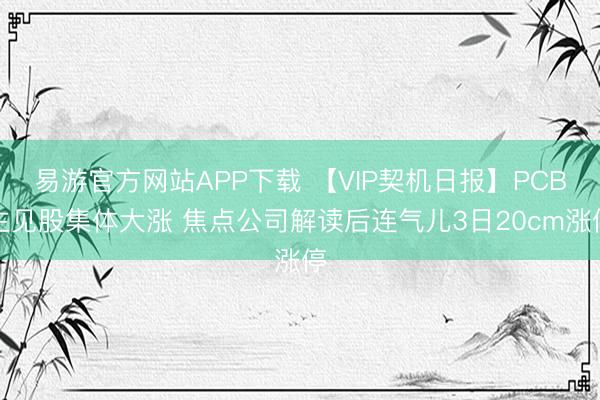 易游官方网站APP下载 【VIP契机日报】PCB主见股集体大涨 焦点公司解读后连气儿3日20cm涨停