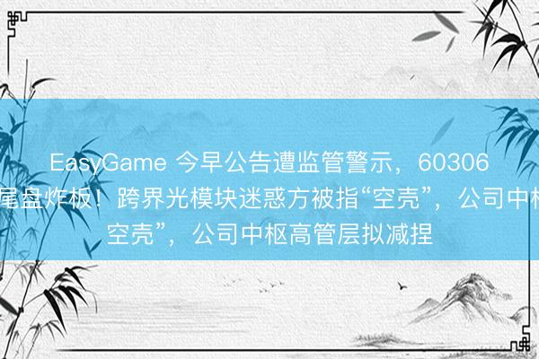 EasyGame 今早公告遭监管警示，603065获10天7板后尾盘炸板！跨界光模块迷惑方被指“空壳”，公司中枢高管层拟减捏